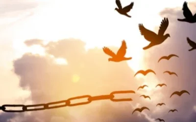 عقوبة الموت | الإعدام عبر التاريخ | أنطوان سعادة