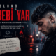 كلمات أغنية Sebebi Yar